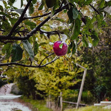 Panorama Glamping Visole *