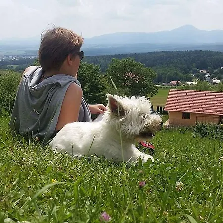 Κάμπινγκ Panorama Glamping Visole