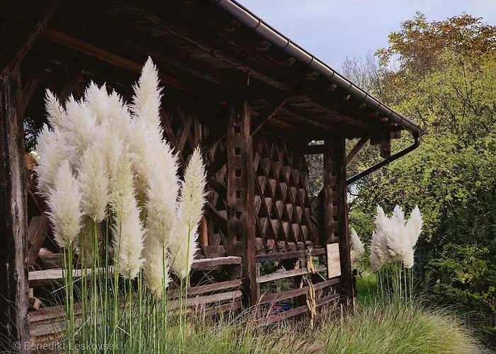 Kemp Panorama Glamping Visole Slovinská Bystrica