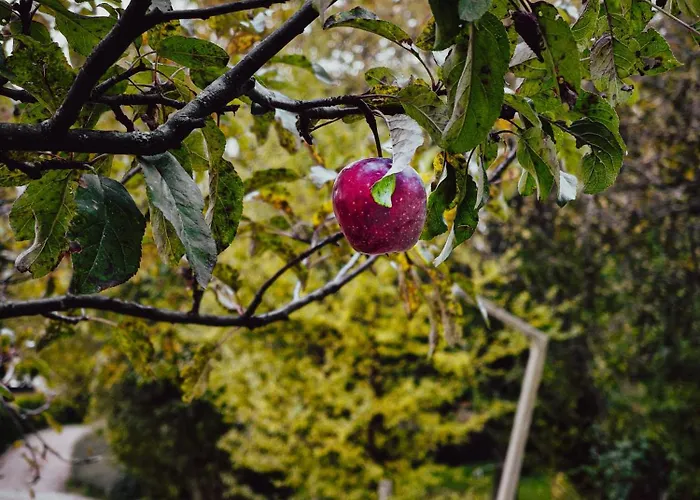 Panorama Glamping Visole *